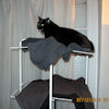 2010-12-14 Coincee_l.jpg